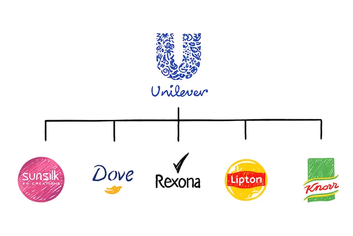 image showing brands under unilever