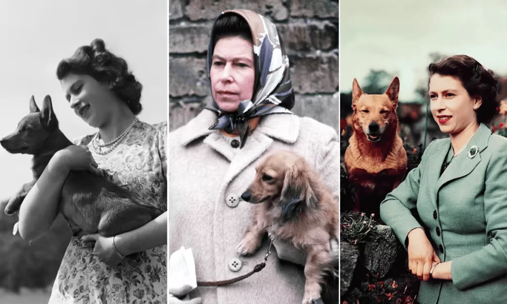 Queen Elizabeth II dogs