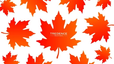 thanksgiving b2b brand marketing video for tredence